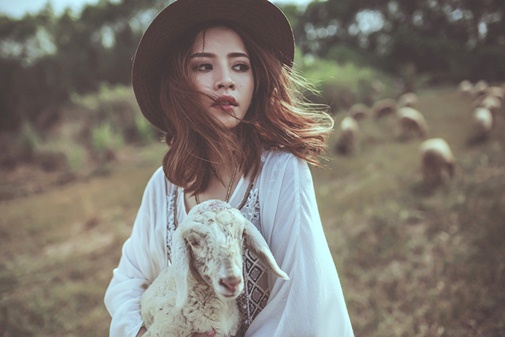 3-cánh-đồng-nuôi-cừu-đẹp-nhất-việt-nam-tây-ninh-24h (2).jpg