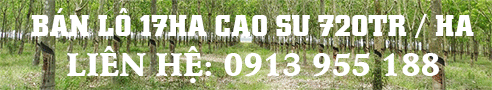 ban-lo-cao-su-17ha-gan-nong-truong-mia-thanh-long-tay-ninh.gif