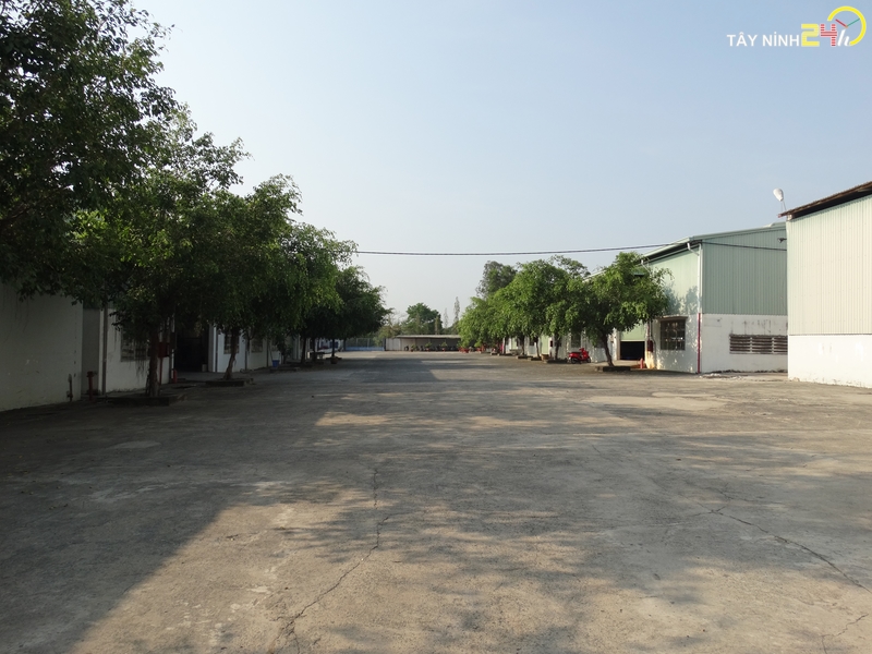 ban-nha-xuong-khu-kinh-te-binh-minh-tp.tayninh (2).JPG