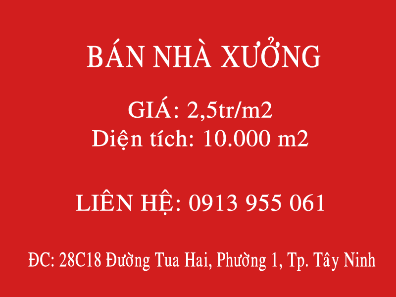 Banner800x600.gif