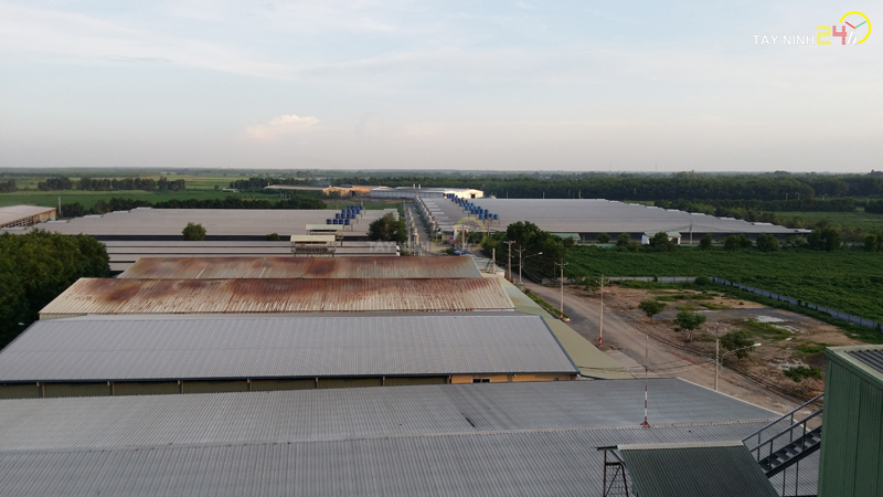 ql-viet-nam-phan-ga-u-hoai-trung-ga-ga-de-thanh-ly-tayninh24h.vn (01).jpg