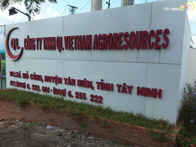 ql-viet-nam-phan-ga-u-hoai-trung-ga-ga-de-thanh-ly-tayninh24h.vn (1).jpg