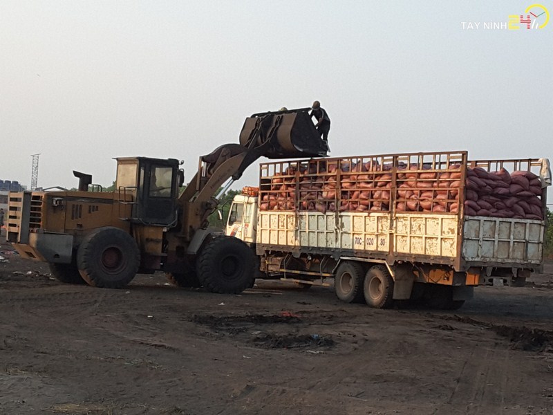 ql-viet-nam-phan-ga-u-hoai-trung-ga-ga-de-thanh-ly-tayninh24h.vn (16).jpg