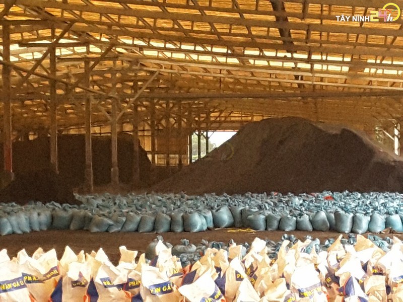 ql-viet-nam-phan-ga-u-hoai-trung-ga-ga-de-thanh-ly-tayninh24h.vn (18).jpg