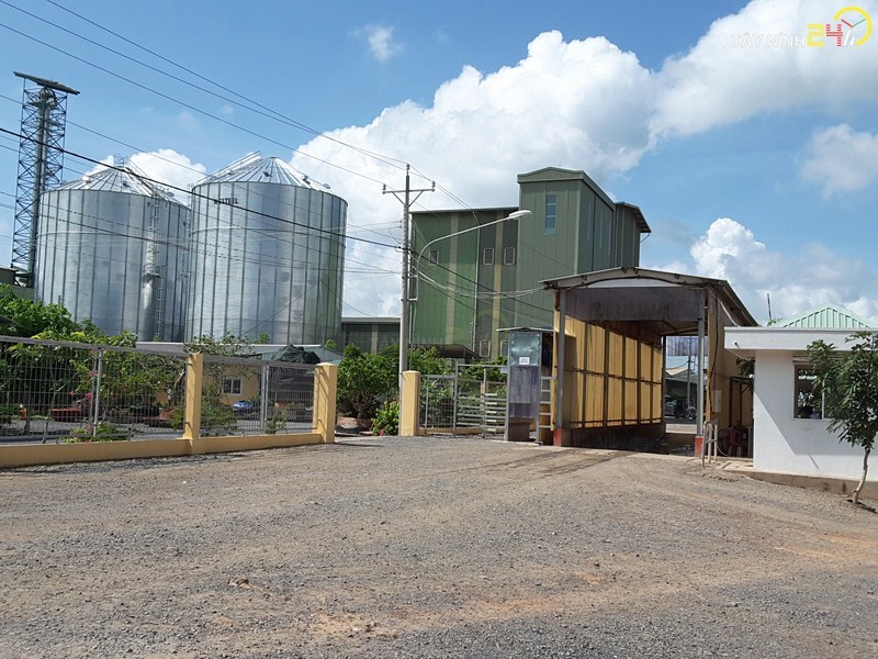 ql-viet-nam-phan-ga-u-hoai-trung-ga-ga-de-thanh-ly-tayninh24h.vn (2).jpg