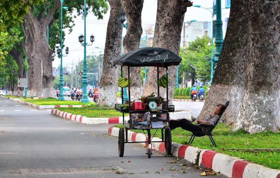 quê-hương-tôi-tây-ninh-24h (13).jpg