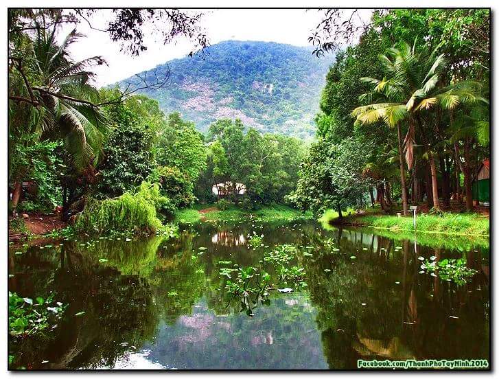 quê-hương-tôi-tây-ninh-24h (2).jpg